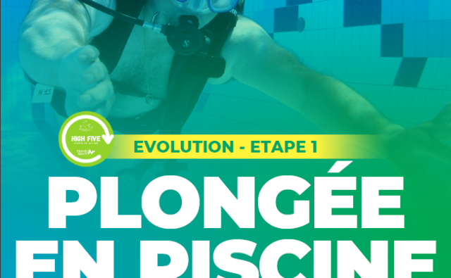 plongeeHandi